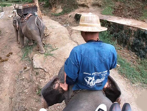 Elephant riding in Thailand with teen 18+ couple who had sex afterwards